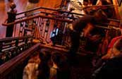 Mother's staircase in restaurant